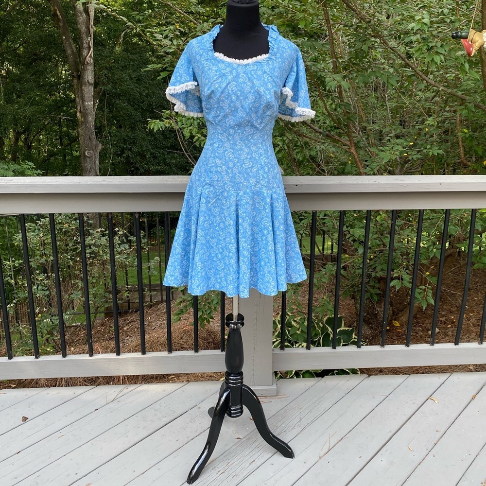 Vintage 60s 70s Floral Paisley Flutter Sleeve Cottagecore Lace Fit Flare Dress